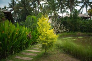 seasonal landscaping maintenance guide