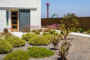 Drought-Resistant Plants: Smart Landscaping for Hot and Dry Conditions